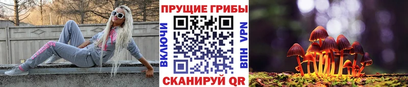 Купить где  Оха  Псилоцибиновые грибы GOLDEN TEACHER 